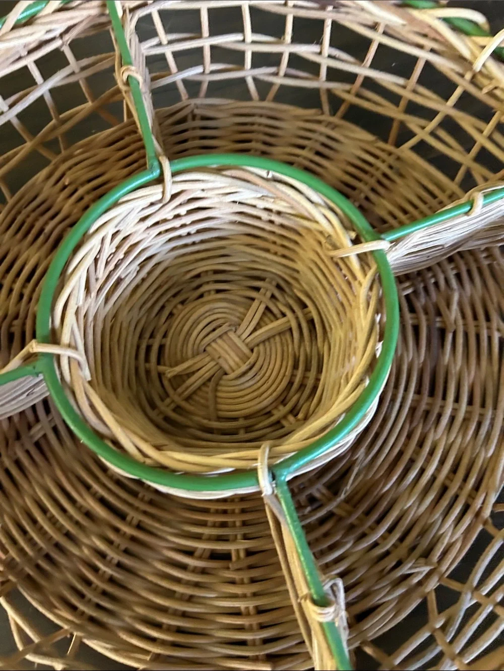 Woven Wicker Divided Serving Basket with Green Trim and Colorful Fish Accents